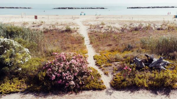 Il mare in una stanza