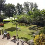 L’Albero di Antonia