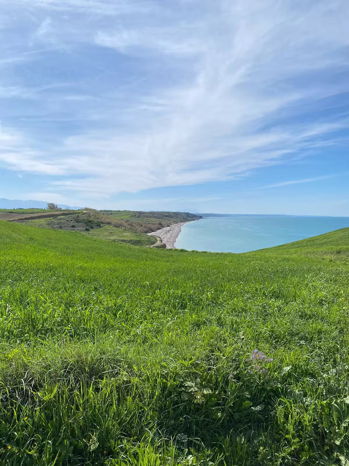 Punta Aderci