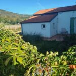 La Casa Vecchia